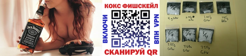 Кокаин Fish Scale  Купить где  Болохово 