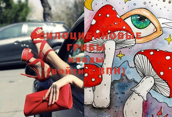 мет Вяземский