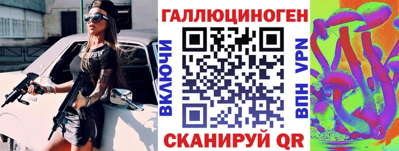Купить где Болохово Псилоцибиновые грибы Psilocybe