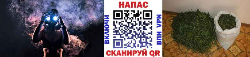 Купить закладки  Болохово  Марихуана план 